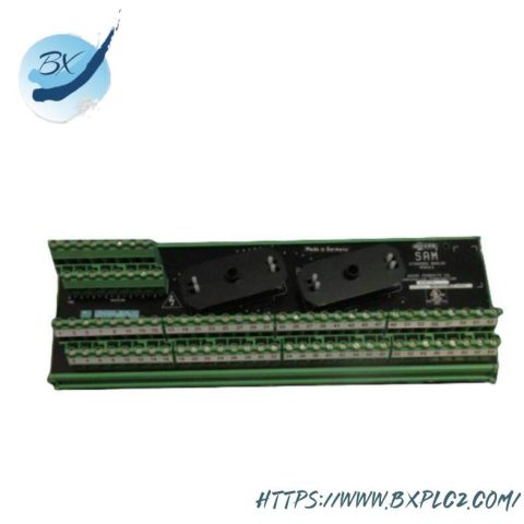 Moore 16169-1-07 SAM Analog Module: Precise Control for Industrial Automation