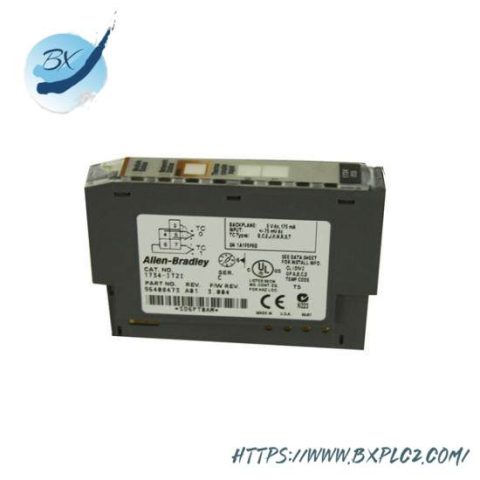 Rockwell Automation 1734-IT21 Modular I/O Module, Control System Components