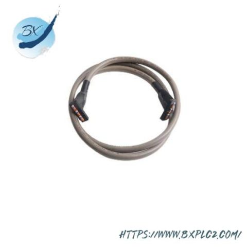 Allen Bradley 1746-C16 ControlLogix Logix5573 Processor Series B