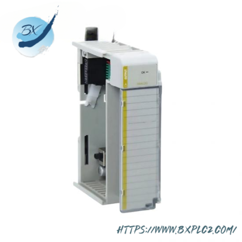 Rockwell Automation 1769-OF2, Control Module, PLC Interface