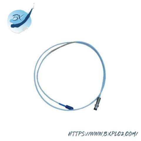 Bently Nevada 330105-02-12-10-02-CN, Control System Module