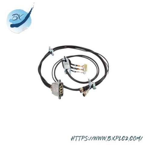 ABB Robotic Solutions: IRB6600 & IRB4600 Series, Advanced Automation Modules