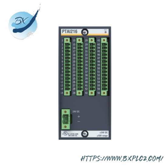 bachmann_ptai216_bachmann_ptai216-1.jpg Bachmann PATI216 - Advanced Temperature Input Module