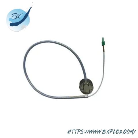 Bently Nevada 330876-02-10-01-00: 3300 Series XL 50mm Proximity Probe