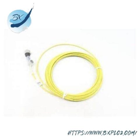 BENTLY NEVADA CB2W100-032 Short Delivery Time Control Module