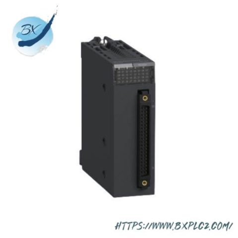 Schneider Electric BMXDD032O2K Discrete Input Module