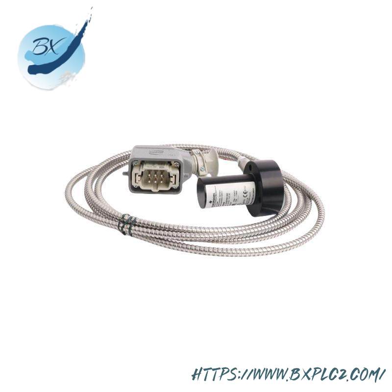 emerson_ce4001s2t2b4_3.jpg EMERSON CE4001S2T2B4 - High Precision Industrial Module