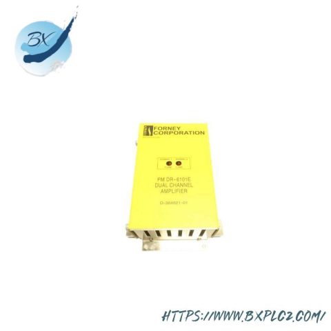 FORNEY RM DR6101E Dual Range Flame Amplifier: Industrial Flame Detection & Control