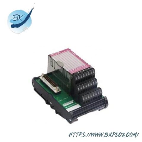 FOXBORO P0961BD-GW30B - High Performance Control Module for Industrial Automation