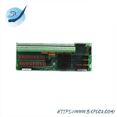 GE DS200TCQAG1ADC: Analog Input Module for Advanced Control Systems