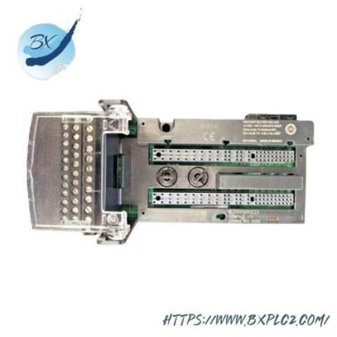 GE-FANUC IC200CHS022E - Micro PLC Module