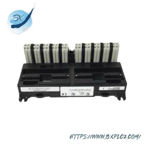 GE Fanuc IC670CHS002 Programmable Logic Controller