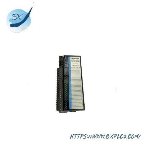 GE IC660BBD024 & IC660EBD024 Source Block - High-Power Input/Output Module