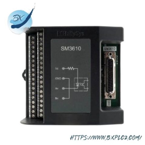 HollySys SM3610 Electric Programmable Logic Controller (PLC), 200 characters or less
