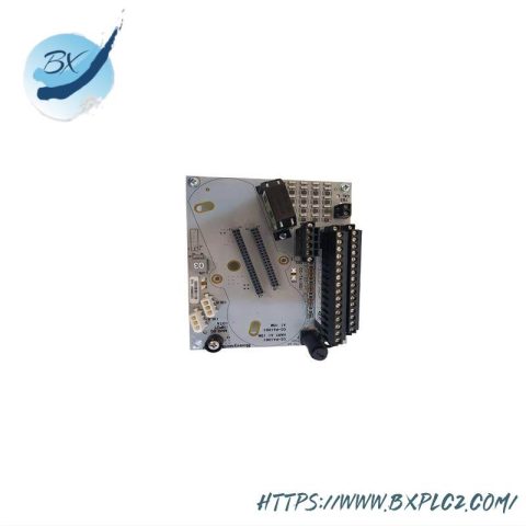 Honeywell CC-GAOX11 51306311-175 Analog Output Module