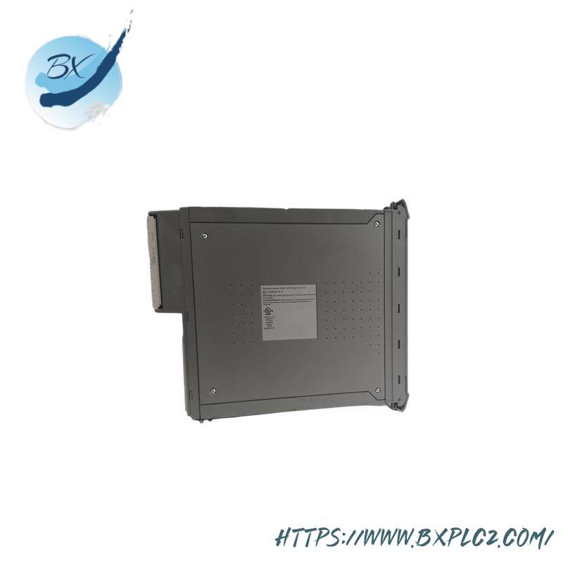 ics_triplex_t8191_2.jpg ICS Triplex T8191 Single Slot PLC Module