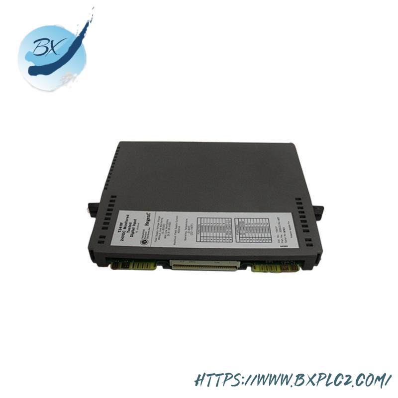 ics_triplex_t8431_4.jpg ICS Triplex T8431 Analog Input Module