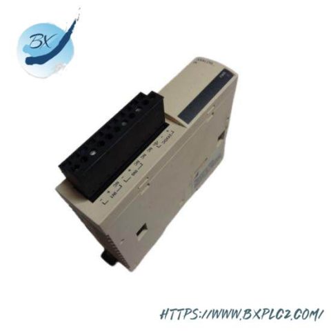 Schneider Electric TWDAMI2HT Input Module: 2-Point Analog for Precision Control