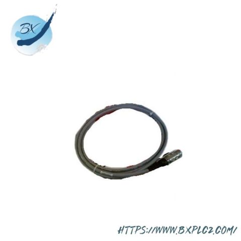 PASAN 200035 Industrial Photometric Monitor