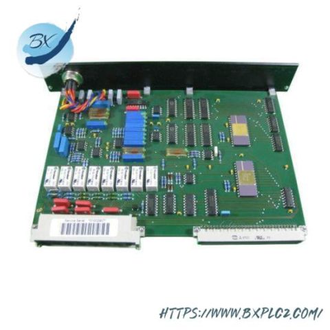 Pasan BV67-3 Precision Digital Temperature Indicator, Advanced Industrial Measurement Solution