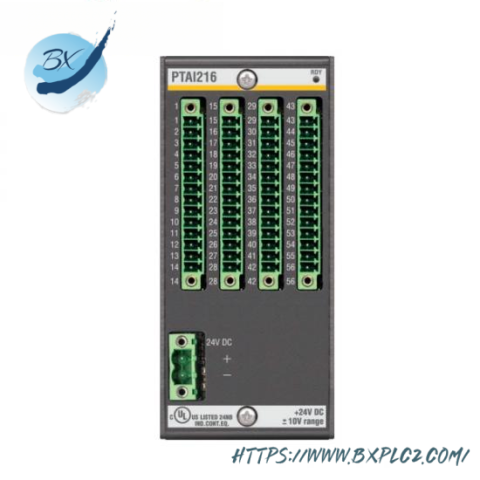 Bachmann PTAI1216 Temperature Input Module - High-precision Analog Input for Industrial Control Systems