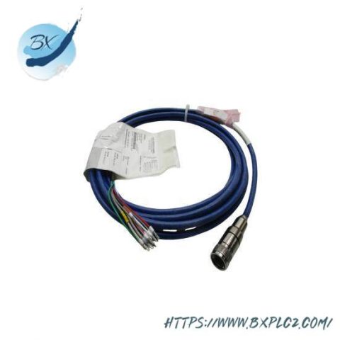 Rosemount 24281-00 Connector Cable