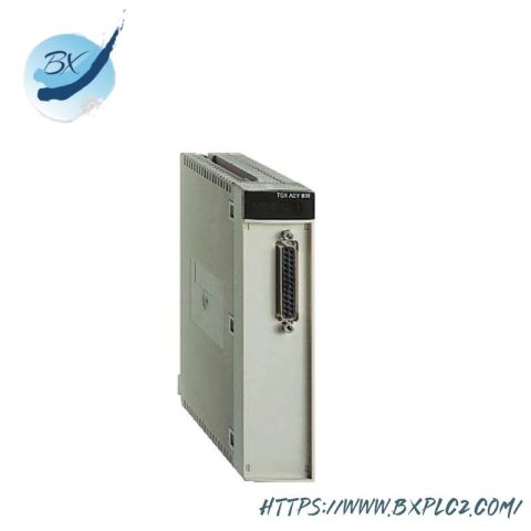 Schneider Fast Analog Input Module TSXAEY420 - Precision & Speed for Industrial Control Solutions