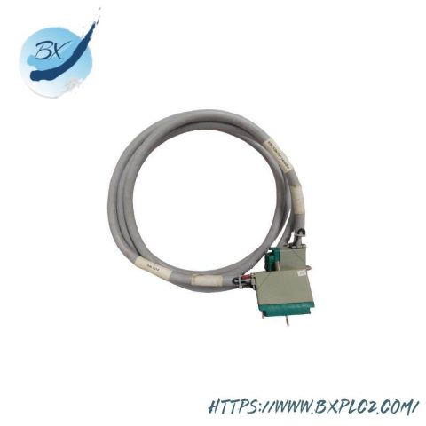 TRICONEX 4000093-310 Extended Product Type: PLC