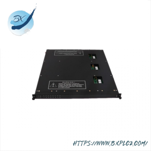 TRICONEX 9561-810 Industrial Control Module