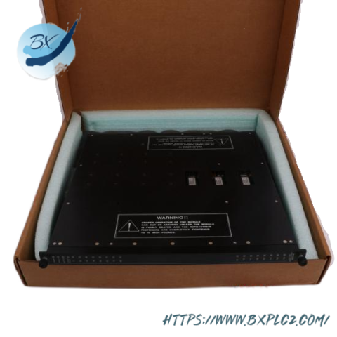 TRICONEX D03401 - Advanced Digital Output Module, Engineered for Industrial Control Systems