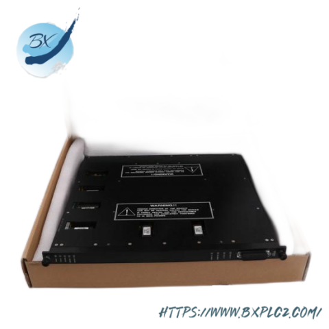 Triconex Terminal Board for 2551 7400058-110: Industrial Control Module