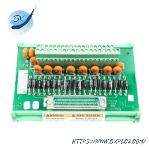 Woodward 5437-687 Netcon Field Terminal Module