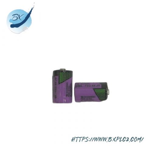 ABB SB808F 3BDM000199R1 SB 808F RAM Buffer Battery, 2 Pieces