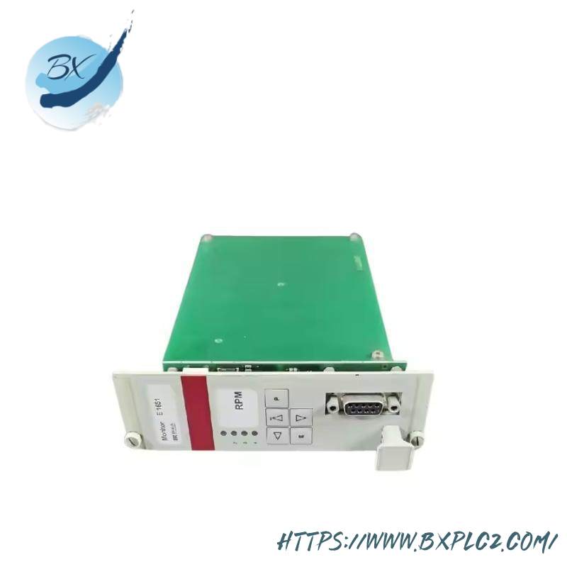 braun_e1667_011_protection_monitoring_module.jpg Braun E1667.011 Industrial Protection & Monitoring Module