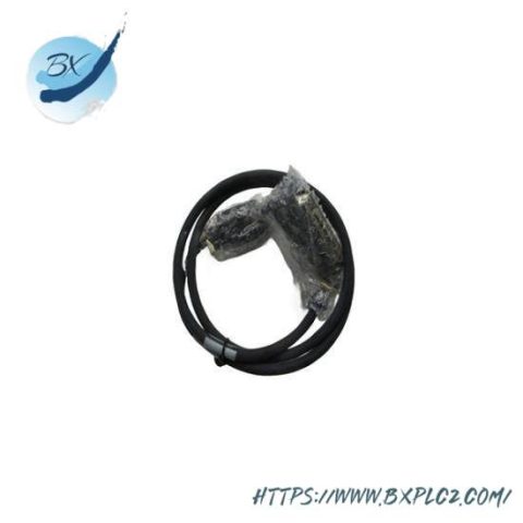 FOXBORO P0916DV PLC Module