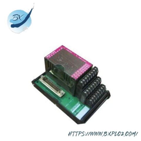 Foxboro P0916AE I/A Series Module