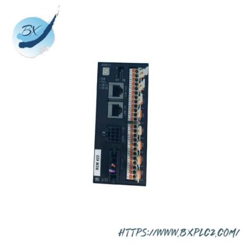 RKC H-TI0-D-WD21-V8*NN: Advanced Temperature Control Module