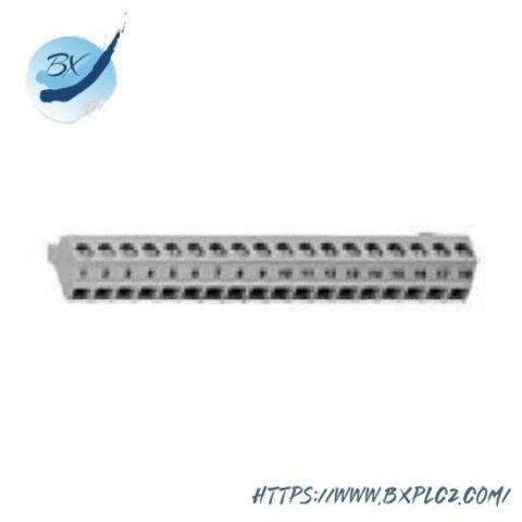 Schneider Automation's 170XTS00100 Quick Delivery PLC Discrete I/O