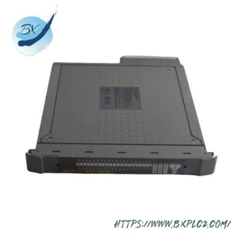 ICS Triplex T8141, Trusted Demonstration Module