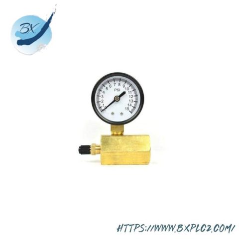 Thrifco Plumbing 8705TPE010S1W0N5 | Gas Pressure Test Gauge