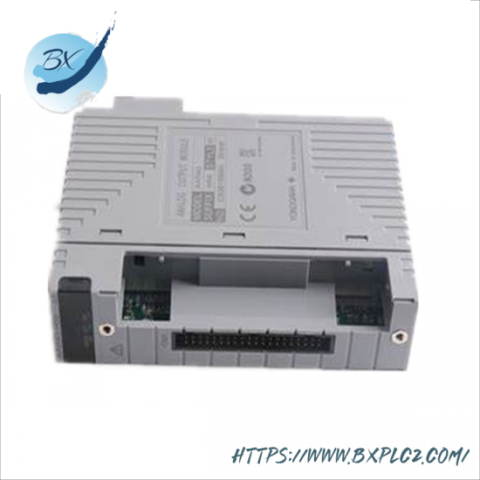Yokogawa AAI543-H53 S1 Analog Input/Output Module