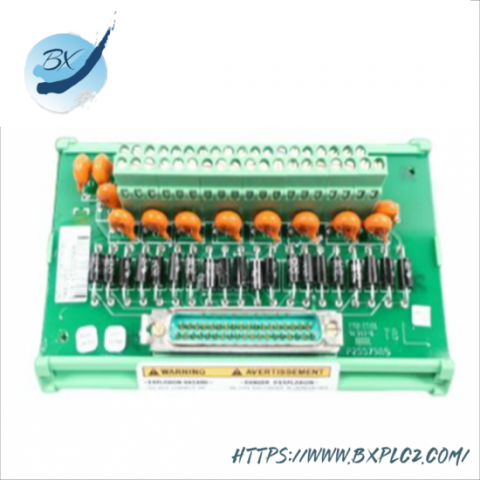 Woodward PLC 5466-318: Micronet Timer Plus Kernel PS Module