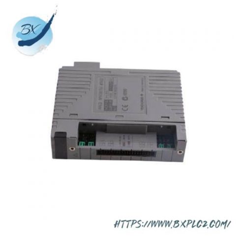 Yokogawa AAI841-H00: Industrial Grade Analog I/O Module