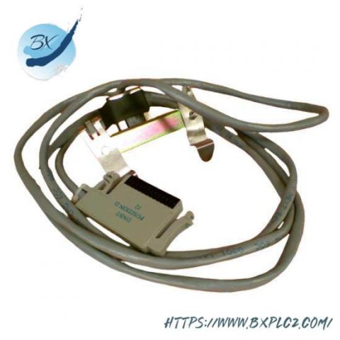 Foxboro P0971XU - I/A Series Control Module