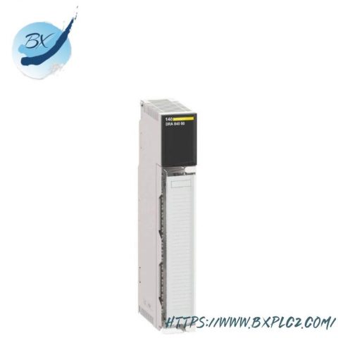 Schneider 140CHS11000 - Hot Standby Module for Reliable Process Control