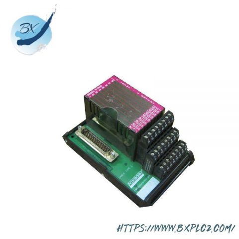 FOXBORO P0916AG System Module