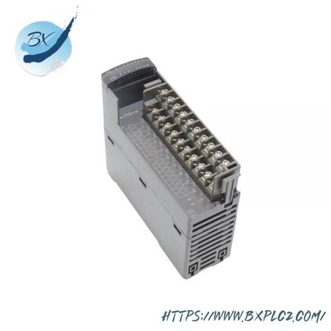 Fuji NP1Y16R-08 Digital Output Module, for Industrial Control Systems