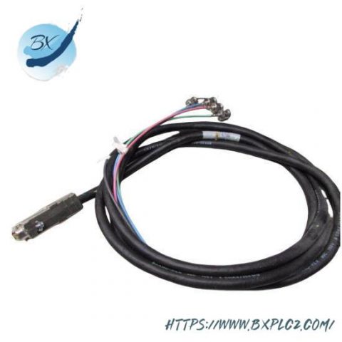 Foxboro P0971FB - I/A Series Control Module